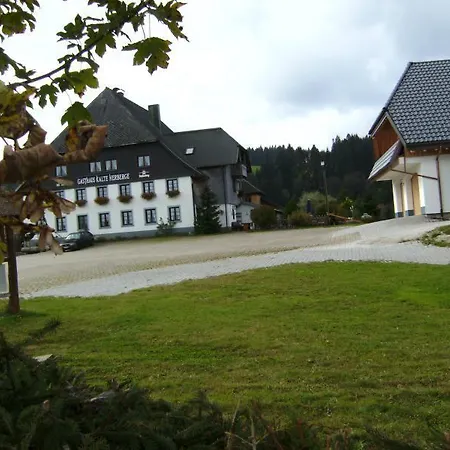 Gaestehaus-kalte-herberge-ferienwohnung-eg Apartament Vöhrenbach